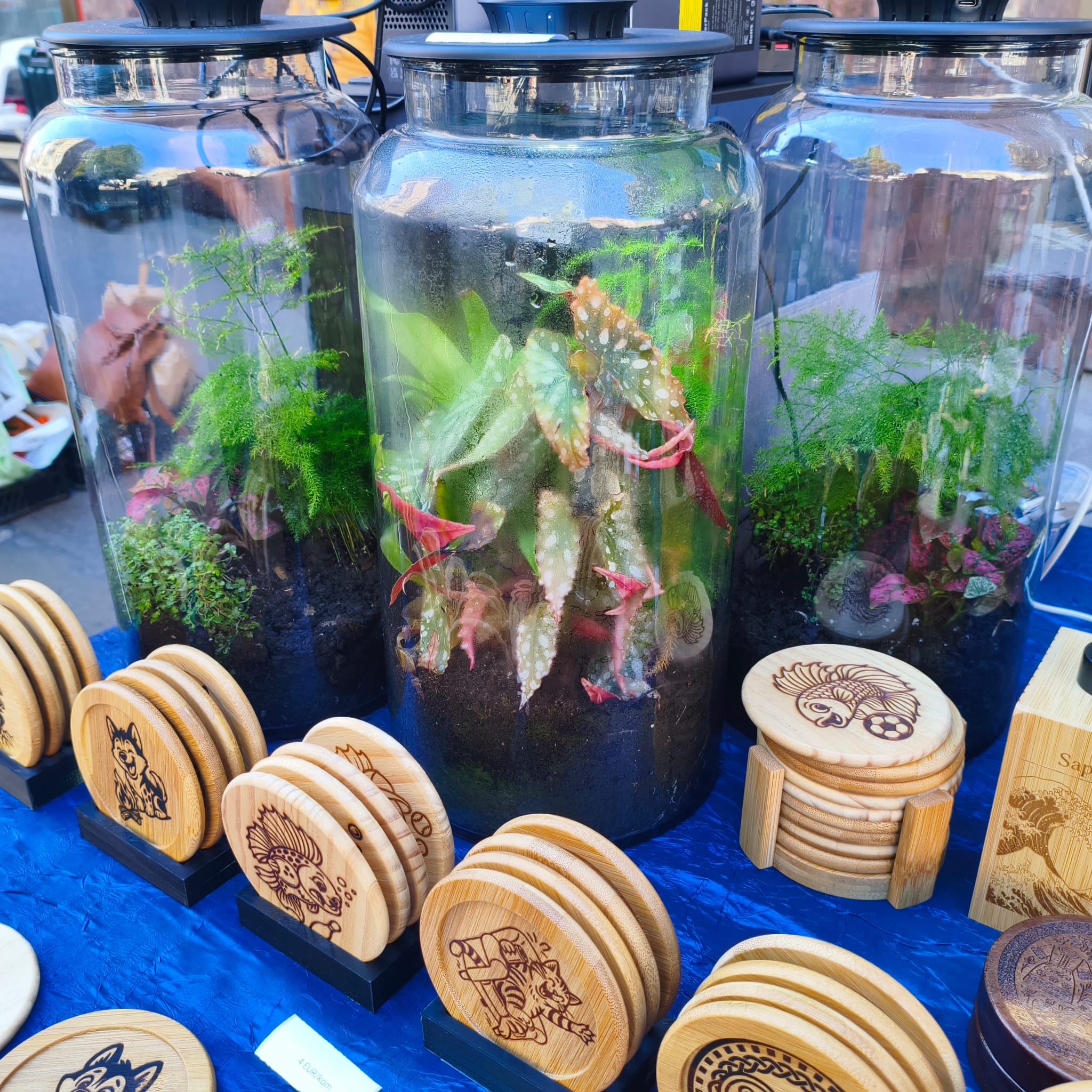 Terarij sa rasvjetom – slika 1