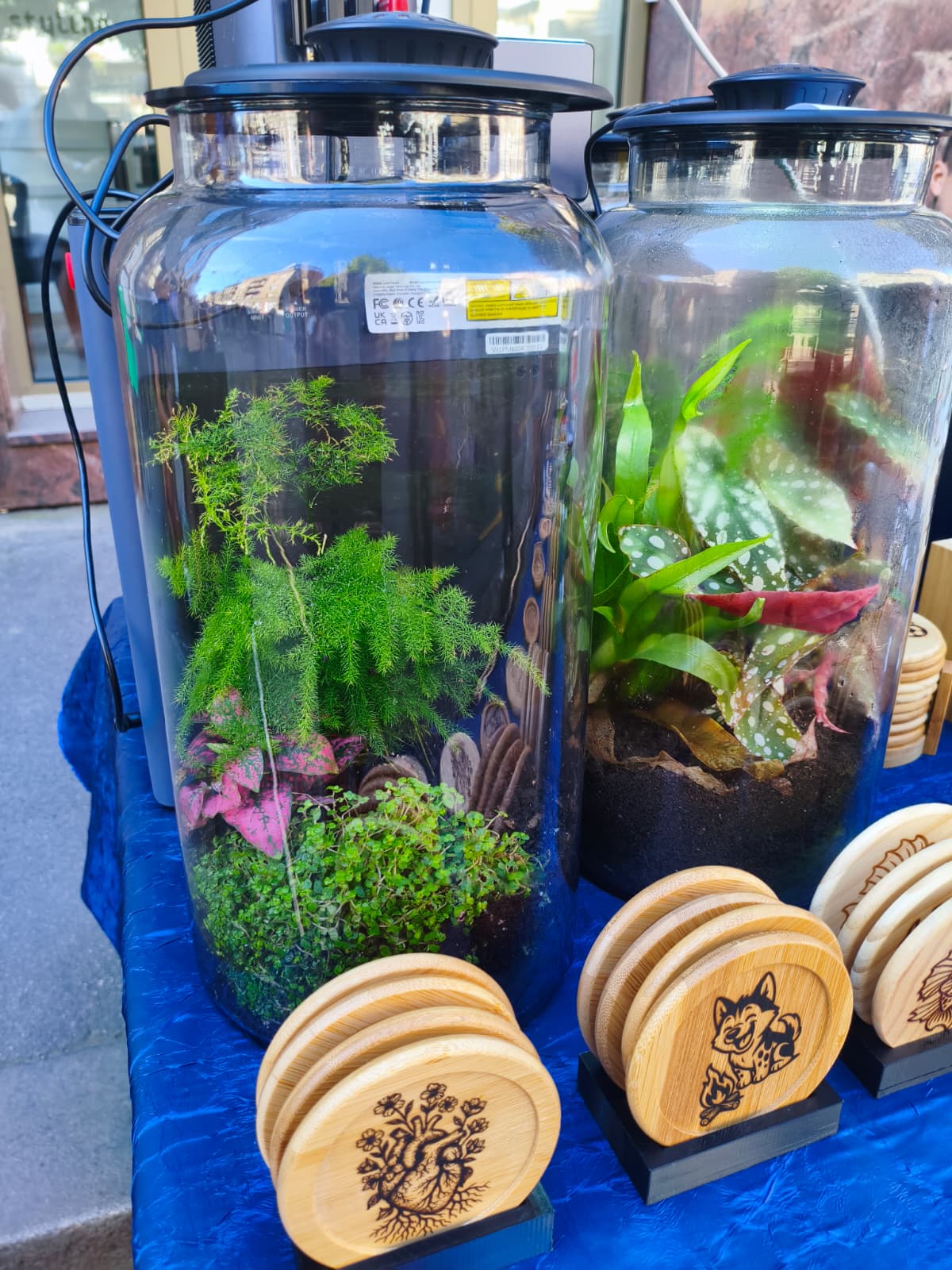 Terarij sa rasvjetom – slika 2